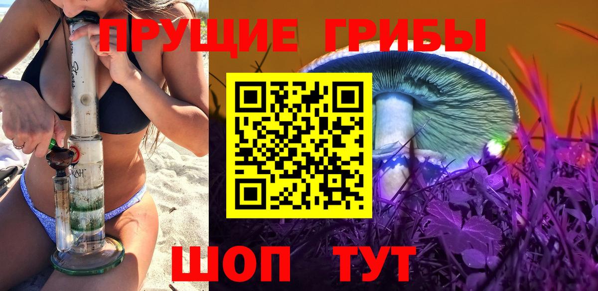 Псилоцибиновые грибы MAGIC MUSHROOMS  Вход с VPN  Буйнакск 